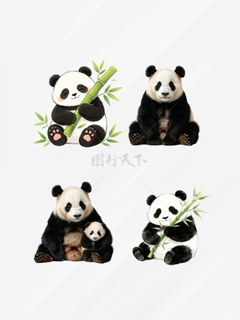 卡通手绘可爱熊猫动物插画