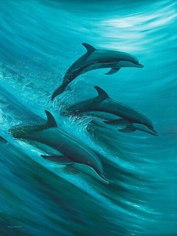 海豚戏水 海洋生物 多条海豚绿色背景